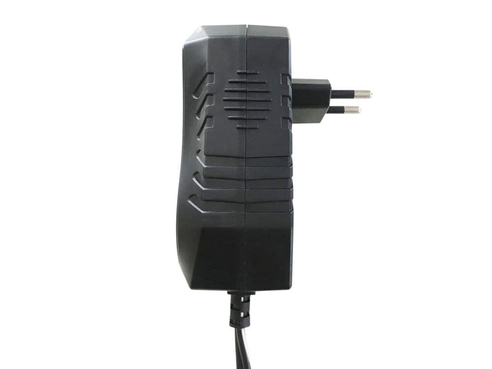 Caricabatterie automatico con connettore SAE KS B2A